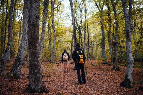 Two Man Friends With Backpack Hiking Together In Autumn Nature Stock