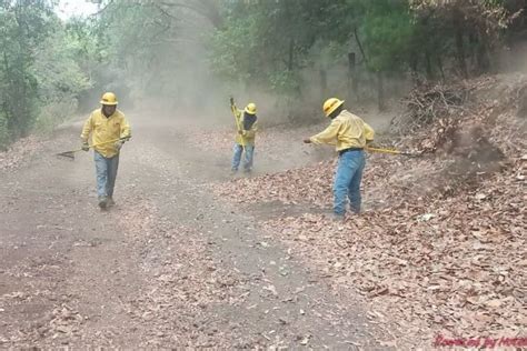 Tepoztlán y Tlayacapan golpeados por dos incendios éstos fueron