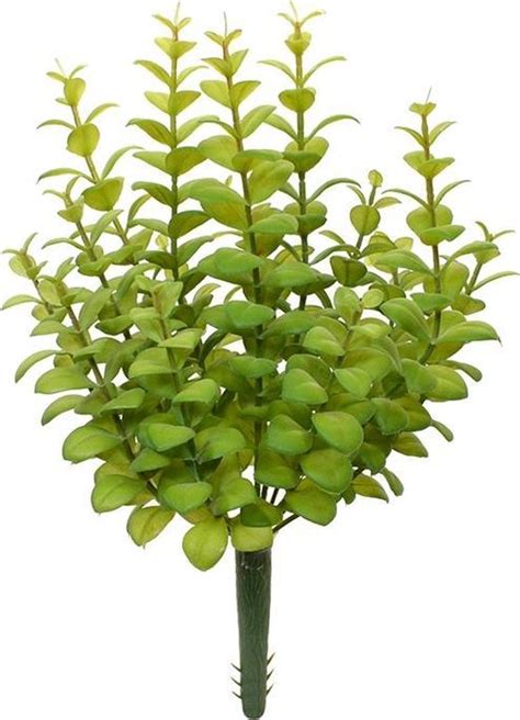 Eucalyptus Kunstboeket 30 Cm Groen Bol