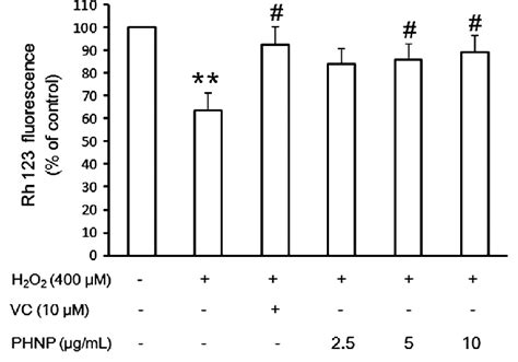 Effect Of Phnp On Mitochondrial Membrane Potential In Hepg Cells