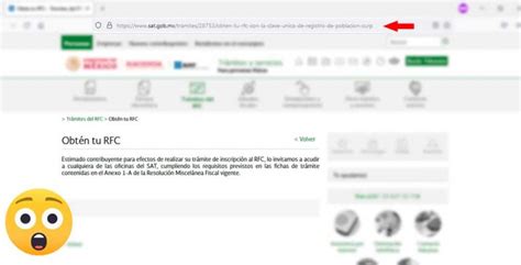 C Mo Inscribirse Al Rfc Con Mi Curp Por Internet Adn