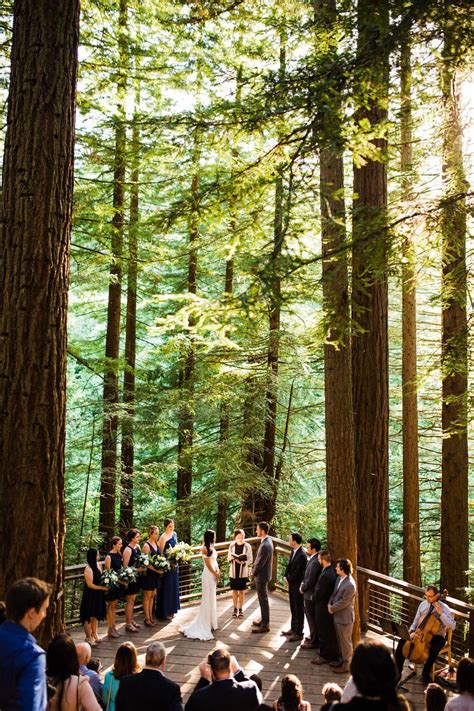 Portland Oregon Wedding Venue Hoyt Arboretum Redwood Deck Intimate