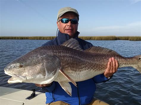 Louisiana Fishing Guides | Adventure South Guide Service