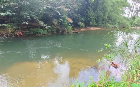 Budak 8 Tahun Hilang Ketika Mandi Sungai FMT