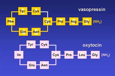 Figure Endotext