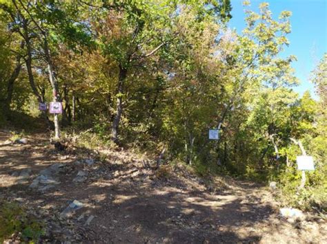 Rodopi Runners Τα μετάλλια των αγώνων Runntrail gr