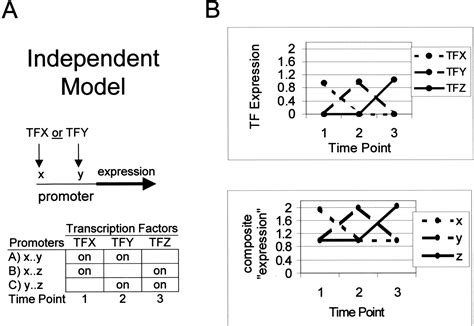 Cis Elementtranscription Factor Analysis Cistf A Method For