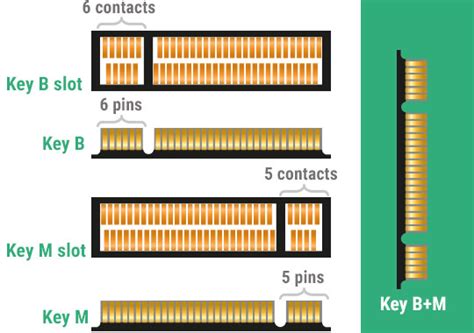 Help with M.2 SSD keying | [H]ard|Forum