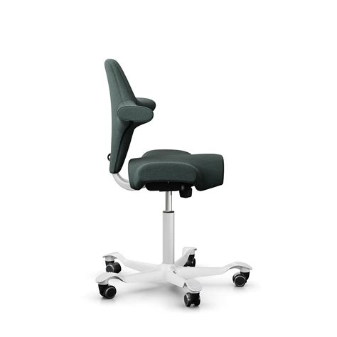 Hag Capisco 8106 Fast And Free Delivery Healthy Workspace