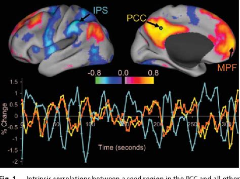 Pdf The Human Brain Is Intrinsically Organized Into Dynamic