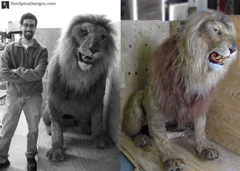 Jumanji Life Sized Lion Movie Costume Conservation » Tom Spina Designs