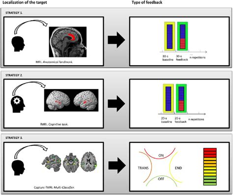 Presentation Of Three Different Strategies For Fmri Neurofeedback