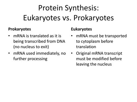 Ppt Chapter 12 Rna And Protein Synthesis Powerpoint Presentation Free Download Id 9415759