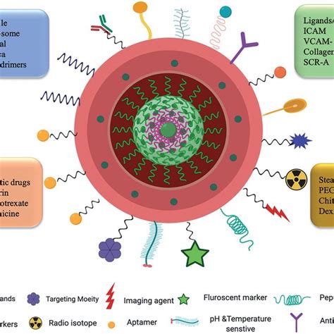 Nanotechnology And Targeted Drug Delivery Schematic Representation Of