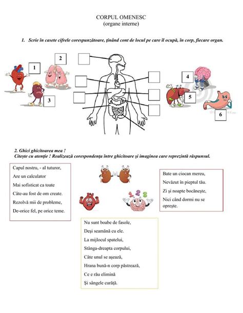 Corpul Omenesc Interactive Worksheet Worksheets Interactive Words