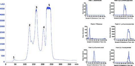 Size Exclusion Chromatography Sec Fractionation And Liquid