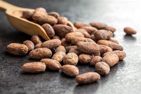 Dried Cocoa Beans Stock Image Image Of Aromatic Isole 237346381