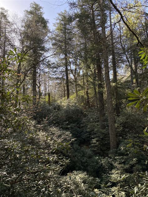 Significant growth is expected for the next phase of coker mathews 38