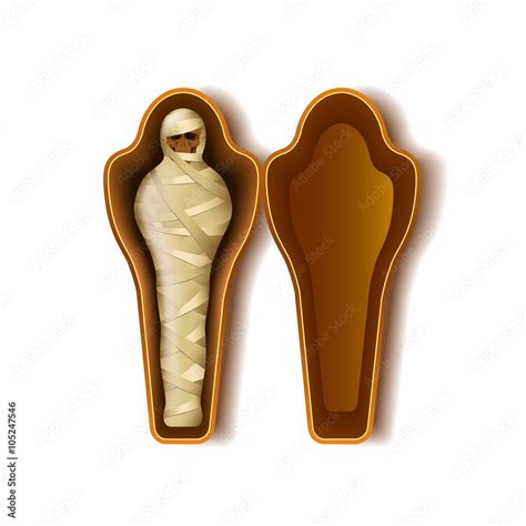 Mummy in sarcophagus isolated on white vector Stock Vector | Adobe Stock