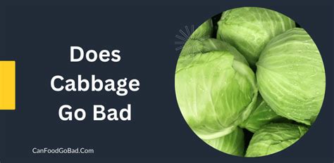 Does Cabbage Go Bad 4 Signs To Tell Cabbage Has Gone Bad Can Food Go Bad