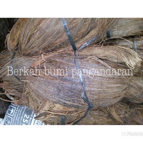 Jual SERABUT KELAPA | SABUT KELAPA | TEPES | KULIT KELAPA | Shopee ...