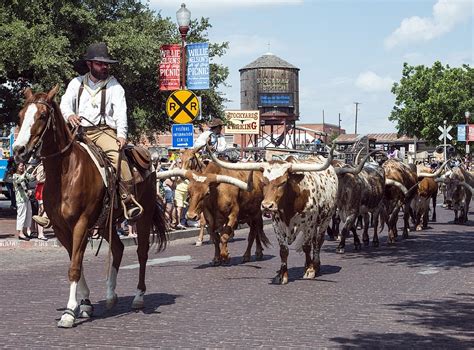 Why The Fort Worth Stockyards Are Famous And What To See Blog