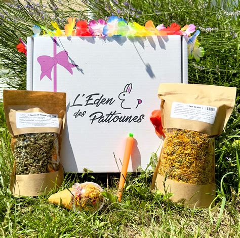 Box Mensuelle Pour Lapins L Eden Des Pattounes