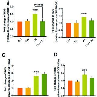 The Impacts Of Curcumin On Cell Membrane Damage Induced By Heavy Metals