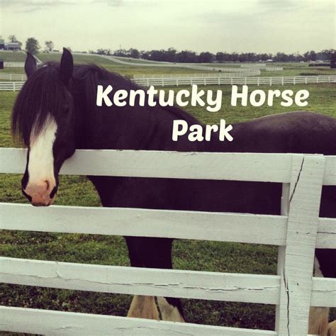 A visit to the Kentucky Horse Park