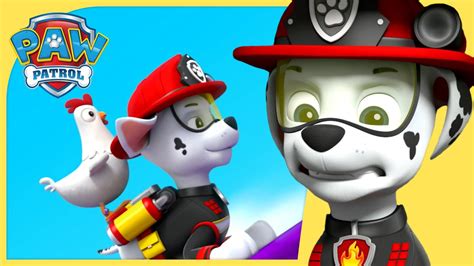 Over 1 Hour Of The Best Marshall Rescues Paw Patrol Cartoons For