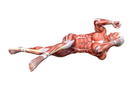 ab workouts   ripped core  pack abs