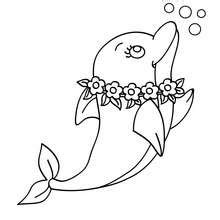 Baby Dolphin Coloring Pages at GetDrawings | Free download