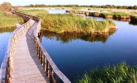 Tablas De Daimiel Parque Nacional Desde