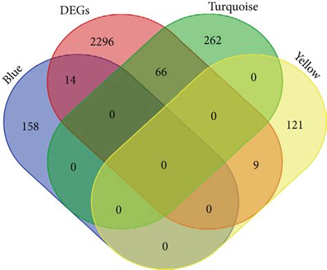 Weighted Gene Coexpression Network Analysis WGCNA And Least Absolute