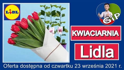 Lidl Oferta Od Czwartku Kwiaciarnia Lidla Youtube