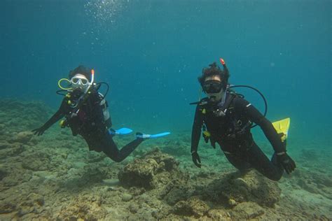 Experiencia De Curso De Buceo Para Principiantes De Horas En La