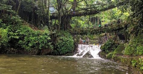 Living Root Bridges of Meghalaya : Location and Details