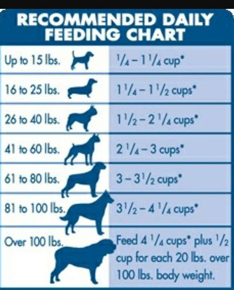 Free Printable Dog Feeding Chart