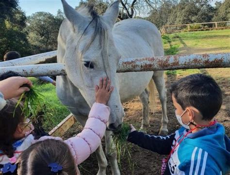 Locales En Alquiler Para Tus Celebraciones Todo Familias