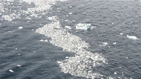 Small Pieces of Ice Floating on Bay in Antarctica Stock Photo - Image ...