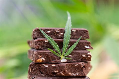 Hoja De Marihuana Cannabis Comestible Con Cbd Y Cereales Crujientes