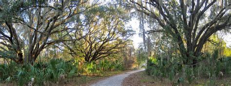 Paynes Prairie Campground, Paynes Prairie Preserve, FL: 2 Hipcamper ...