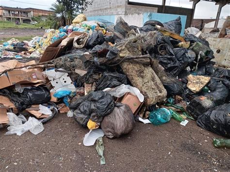 Mutirão de limpeza retira 6 toneladas de lixo da Baía de Guaratuba