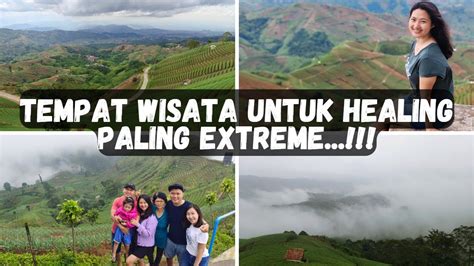 Tempat Wisata Terbaik Untuk Healing Di Atas Awan Terasering