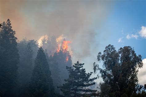 Impresionante Incendio Forestal En El Bolsón Preocupación De Los Vecinos Y Operativo Contra