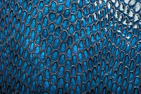 Blue snake skin background Stock Photo by ©domnitsky.yar 87829610