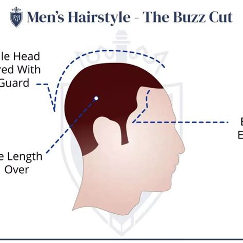 7 Mens Hairstyles That Women Love Mens Hairstyles Top Hairstyles