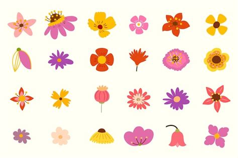 Colecci N De Cabezas De Flores Aisladas Sobre Un Fondo Blanco Vector