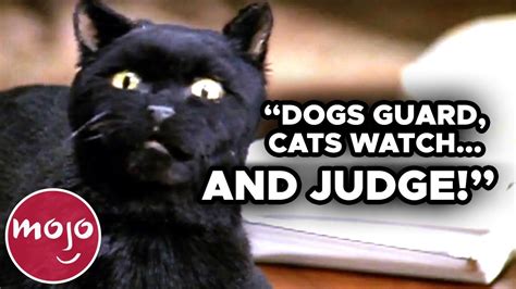 Sabrina The Teenage Witch Cat Sabrina, The Teenage Witch: Season 6,