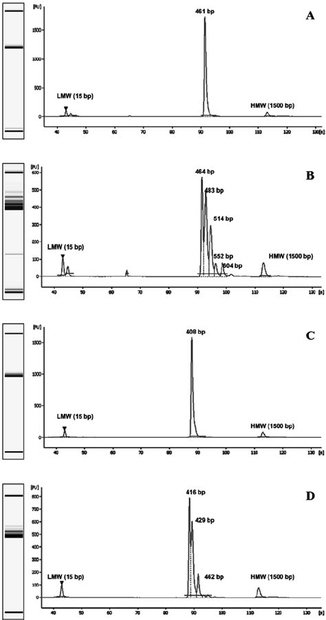 Electropherograms Of PCR Amplified MtDNA HVR1 And HVR2 From Homoplasmic